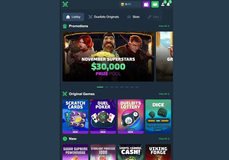 A Step-by-Step Guide to Signing Up on Duelbits - overview A Step-by-Step Guide to Signing Up on Duelbits - overview