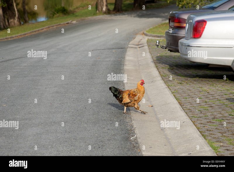 Een Kijkje op de Legendarische Chicken Road Gokkast in Nederland, chicken road spel
